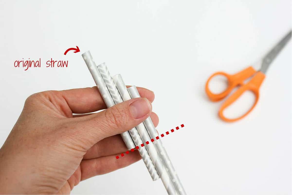 Best Deal for Build a Straw, DIY Drinking Straws (1 DIY Straws