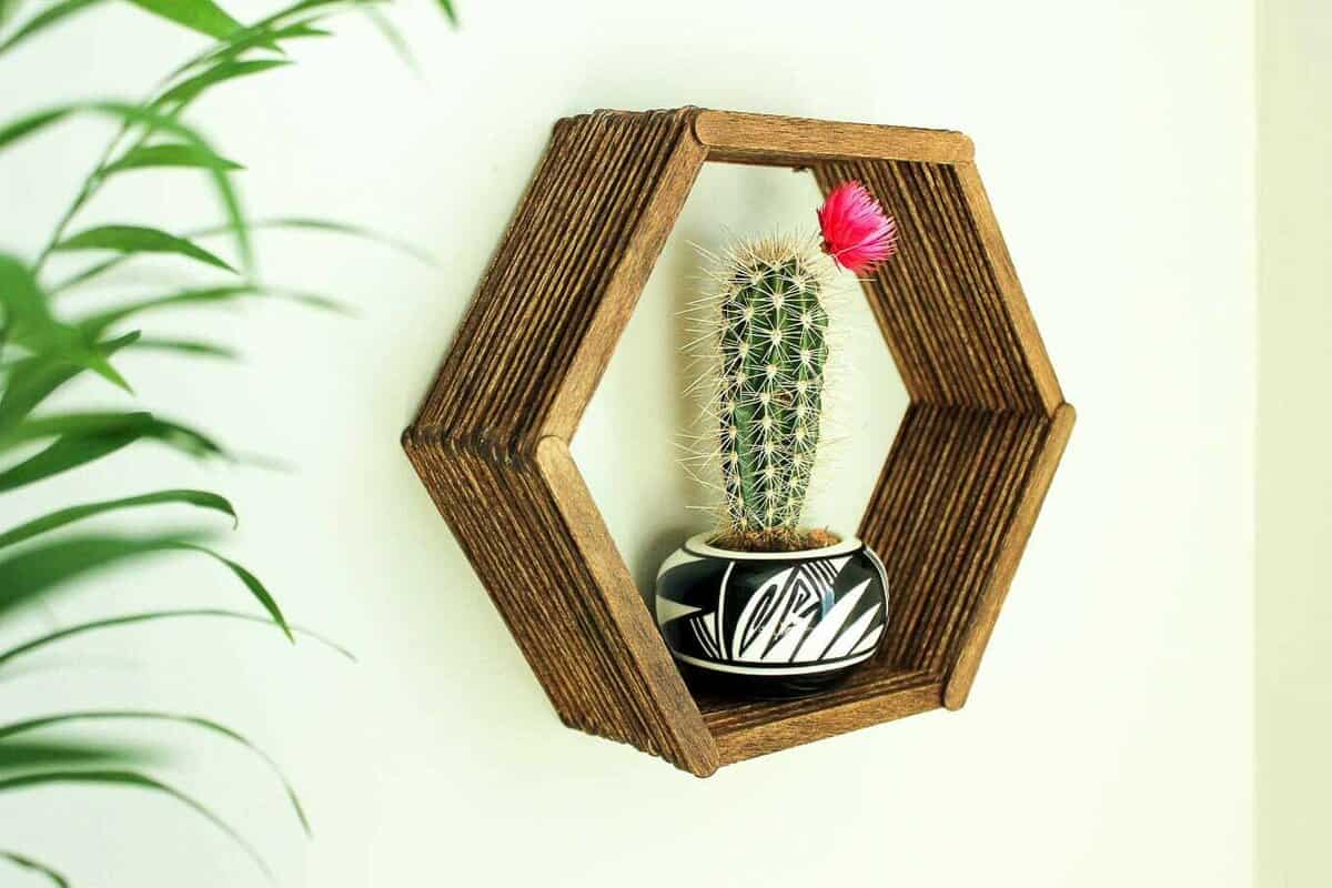 Popsicle Stick Hexagon Shelf -- Easy DIY Wall Art