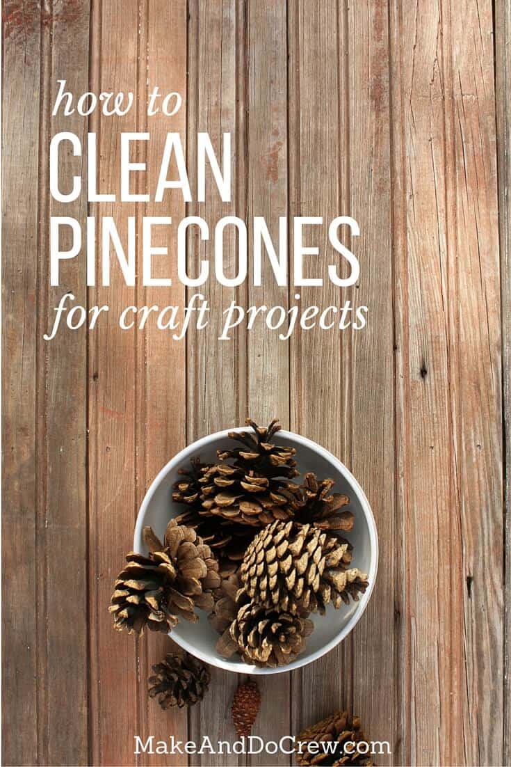 How to Clean Pine Cones for Crafting — The Budding Artists