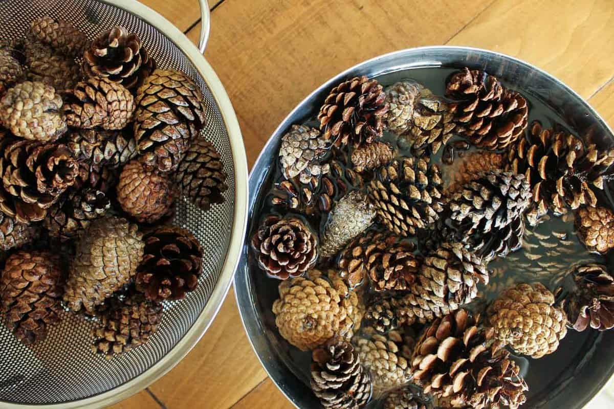 DIY Icicle Pinecones - Clean and Scentsible