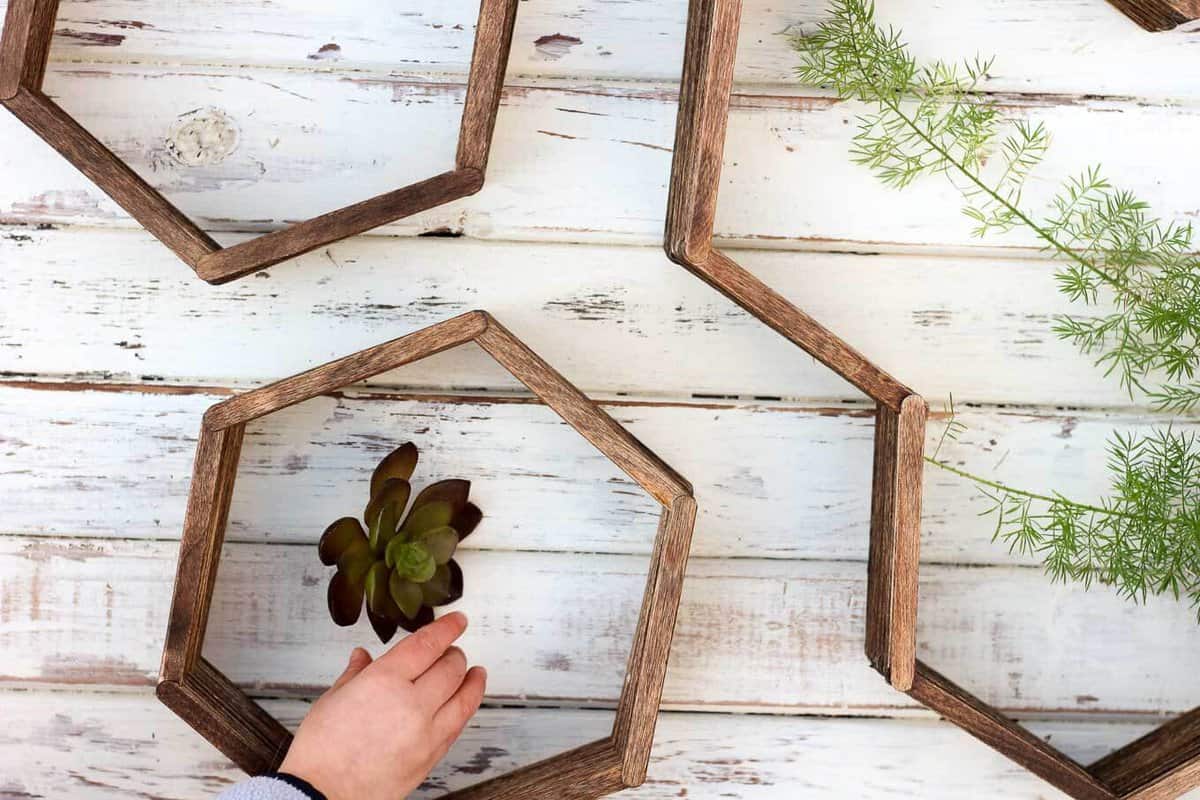 Make awesome mid century modern honeycomb shelves for less than $10 using popsicle sticks! These hexagon shelfs add warmth and dimension to any gallery wall and also look great on their own. Click for instructions and free downloadable template. | MakeAndDoCrew.com