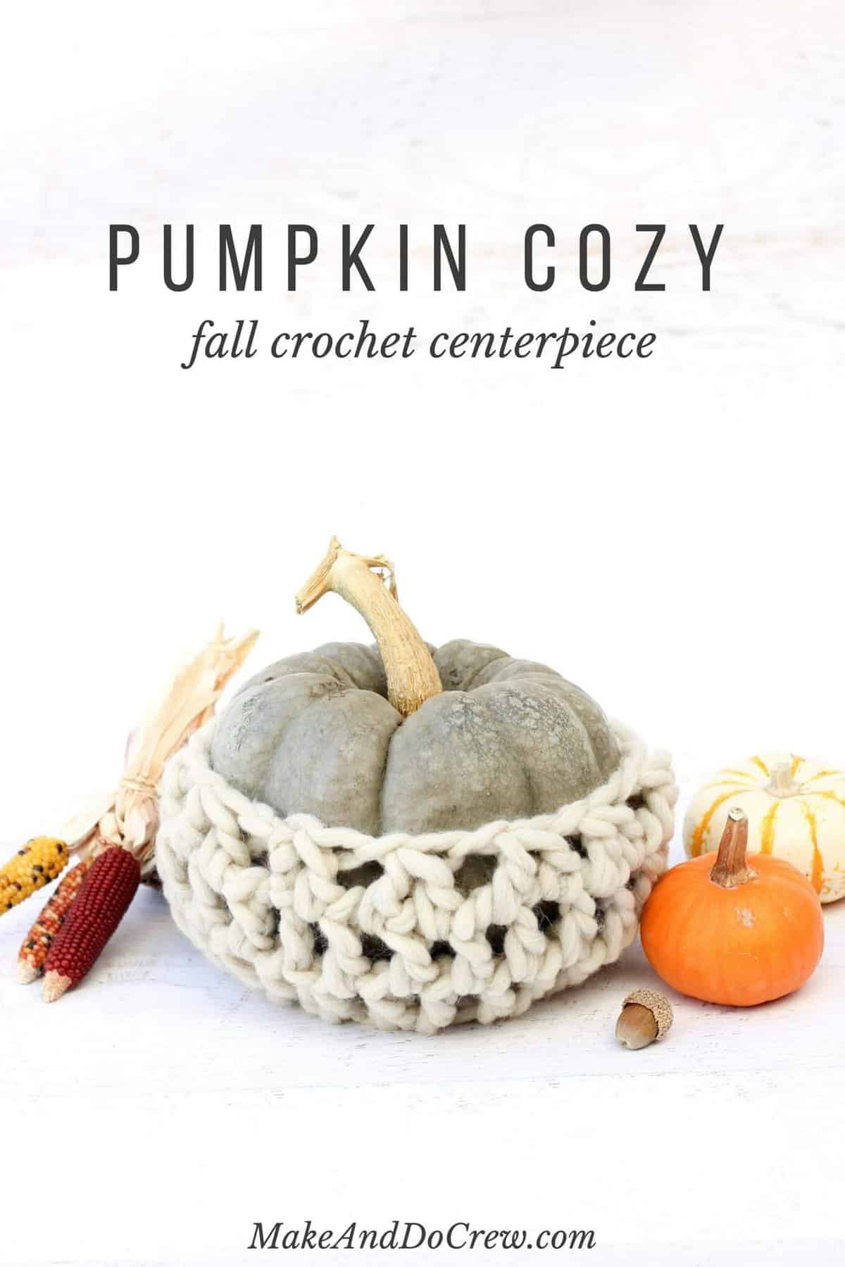 Add a chunky wool-wrapped pumpkin to your Thanksgiving tablescape with this easy fall crochet pattern! This pumpkin cozy centerpiece works up quickly in bulky yarn-L.B. Collection Natural Wool by Lion Brand. 