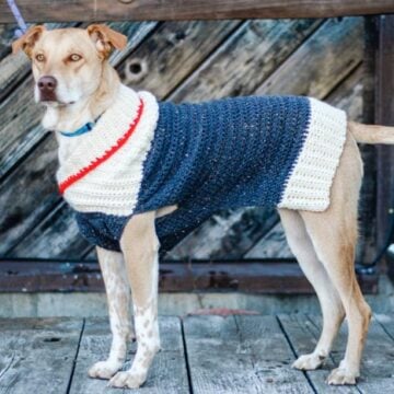 This free, easy crochet dog sweater pattern fits very small, medium and large dogs and is perfect for winter! Easy pattern appropriate for beginners in sizes XXXS-2XL.
