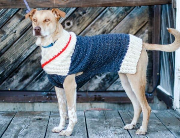 This free, easy crochet dog sweater pattern fits very small, medium and large dogs and is perfect for winter! Easy pattern appropriate for beginners in sizes XXXS-2XL.