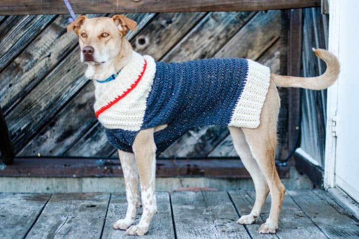 Easy Crochet Dog Sweater Free Pattern Tutorial in NINE Sizes