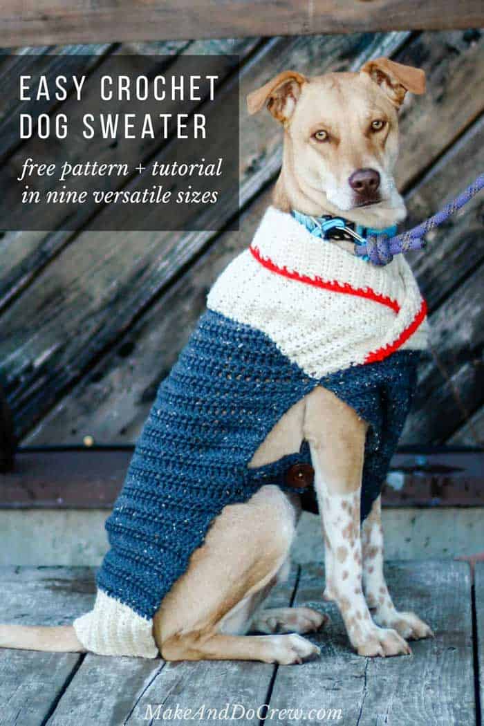 A dog sitting wearing a crochet dog sweater.
