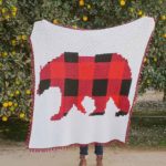 Modern, Rustic C2C Crochet Bear Blanket – Free Pattern by E’Claire Makery