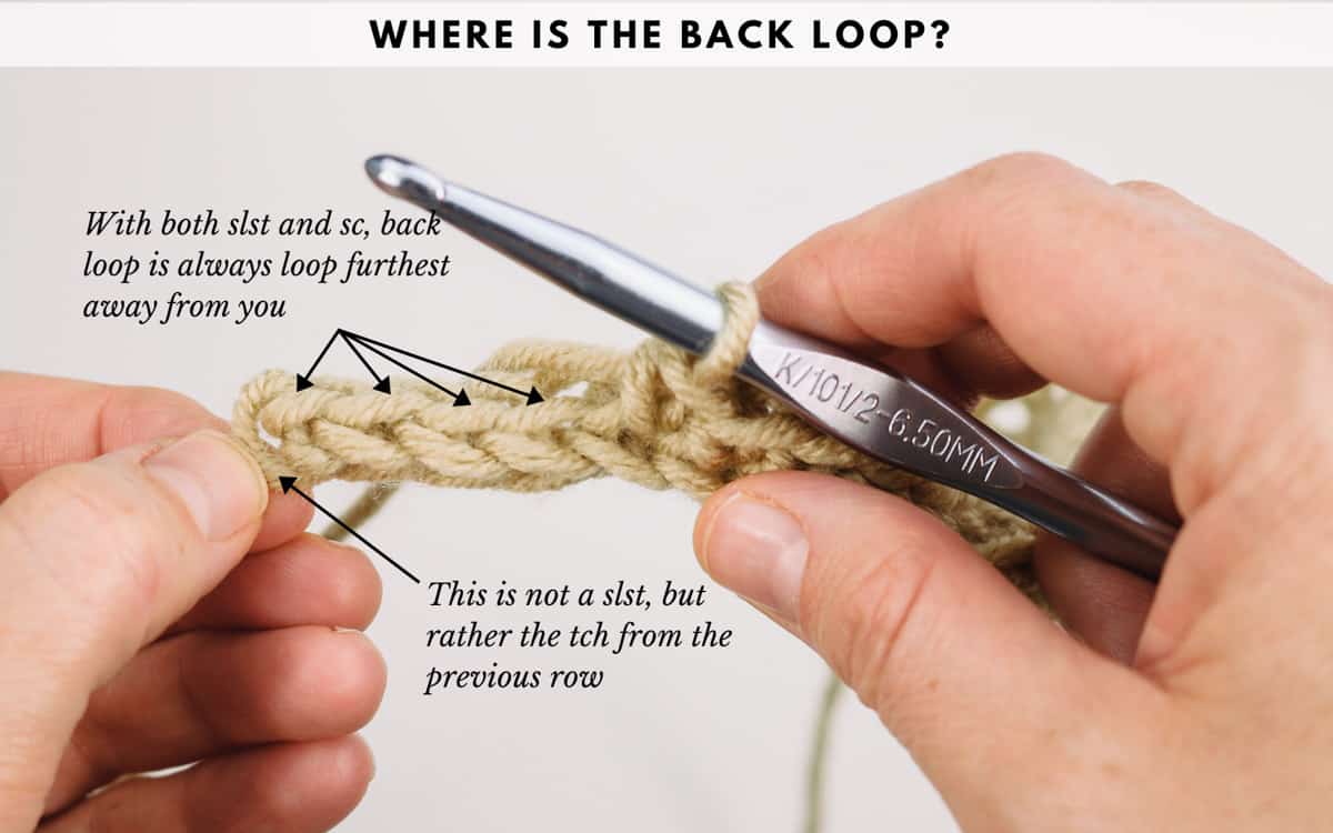 Tutorial showing how to single crochet through the back loop only.