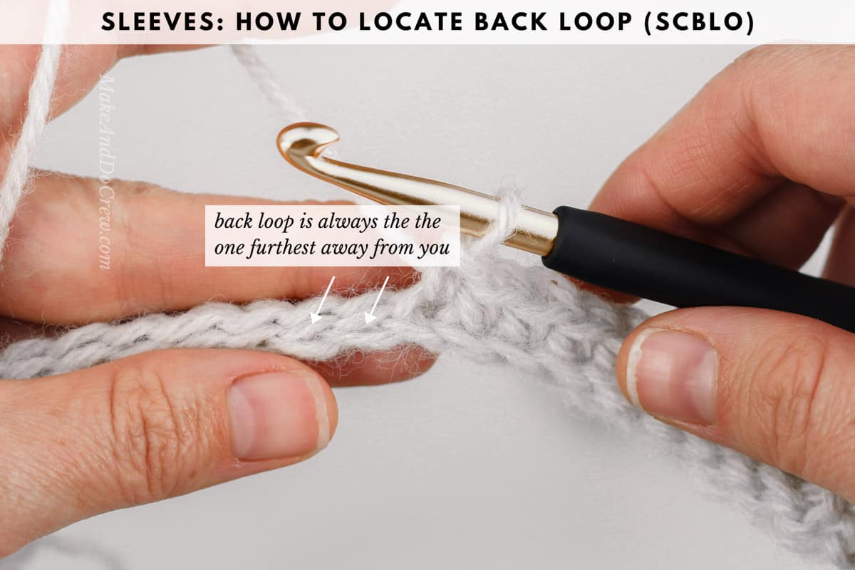 Photo showing where is the back loop of single crochet. (Scblo)