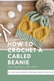Pineapple Crown Beginner Crochet Cable Hat Pattern » free pattern with ...