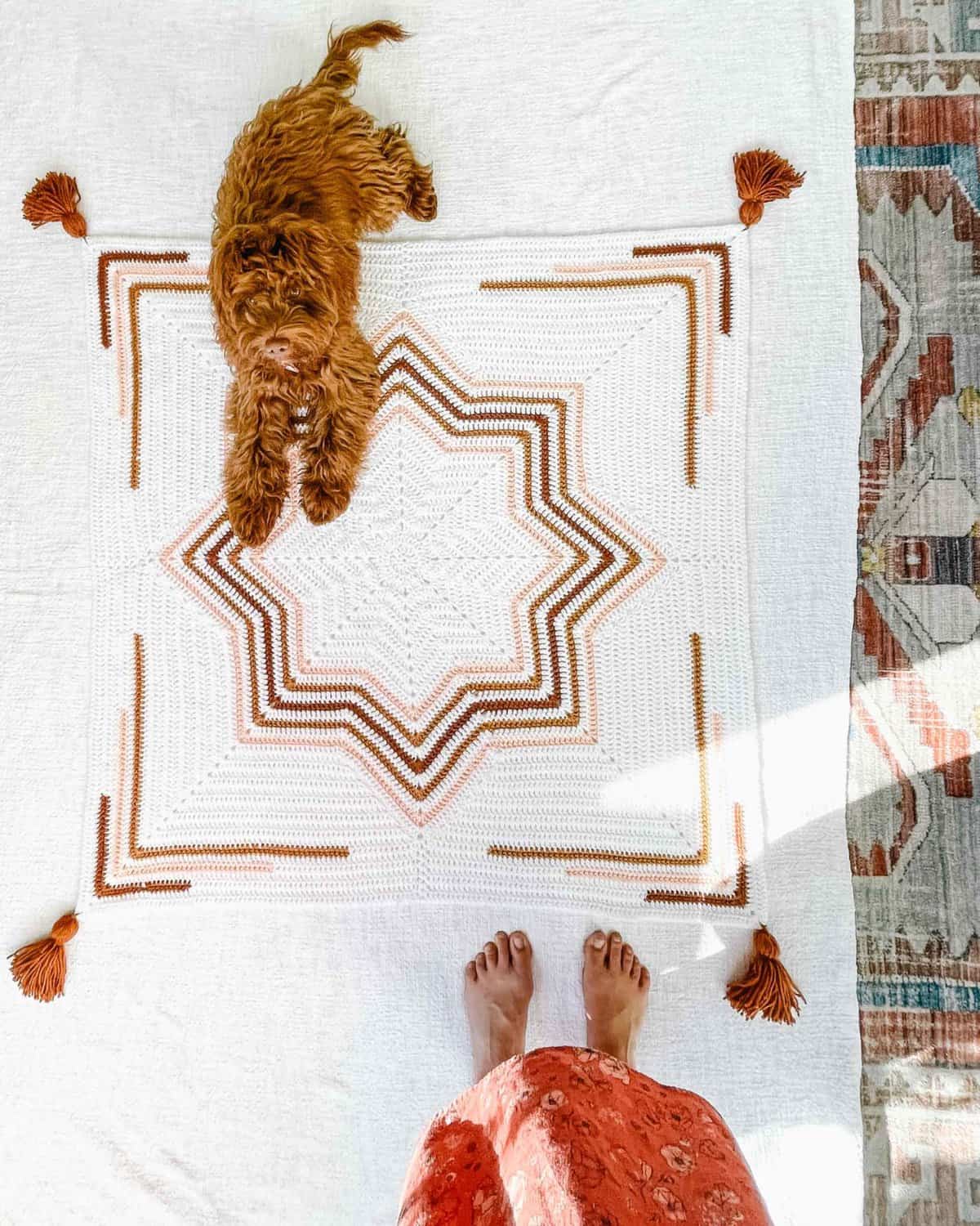 This image shows a colorful 8 point star crochet blanket. There is a brown fluffy dog laying on the blanket and a woman's pair of feet standing on the blanket. 