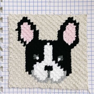 This image shows a corner to corner crochet square of a french bulldog or boston terrier. The c2c square is on a blocking board.