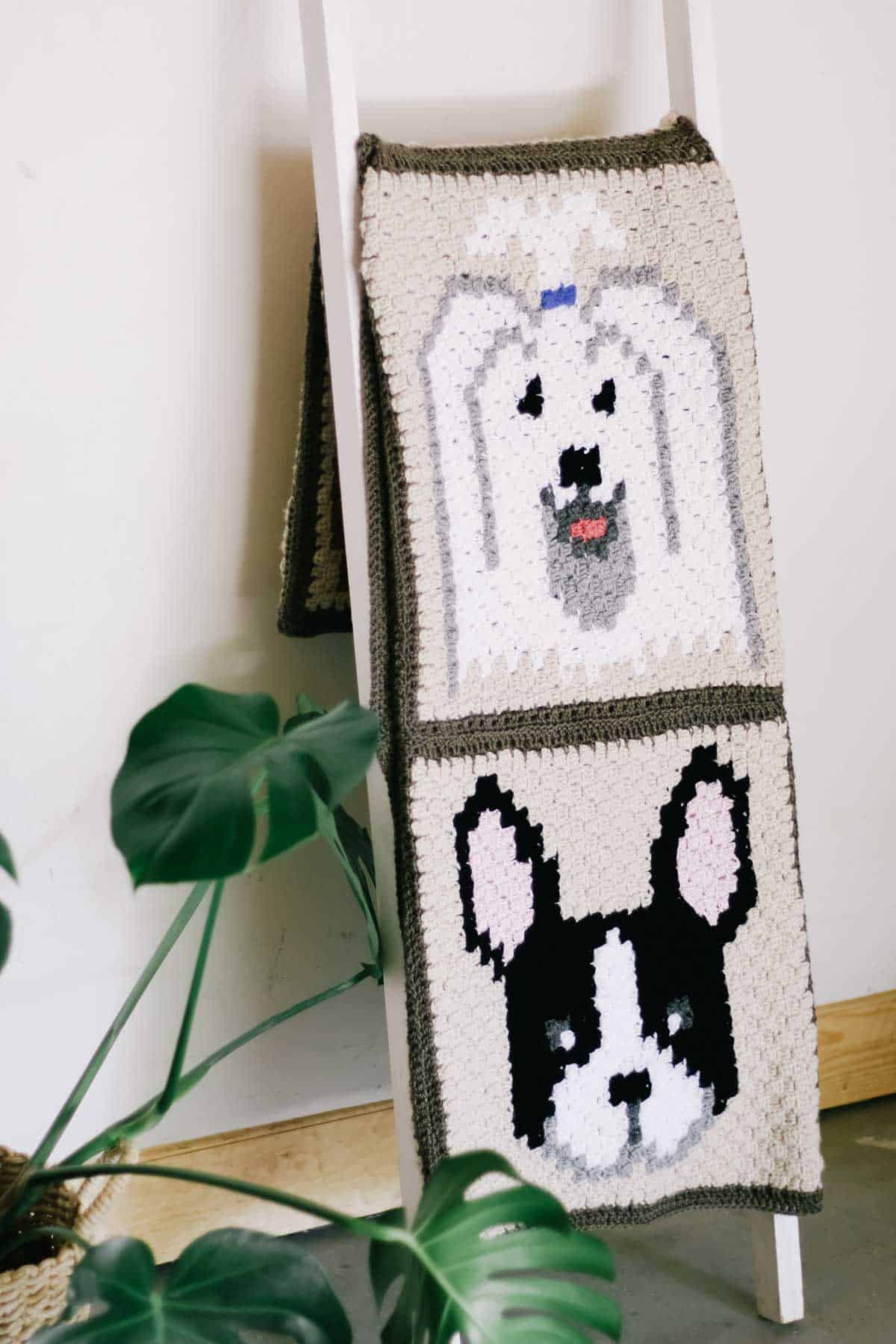 This image shows a corner to corner crochet dog face blanket. The dog breeds that are showing in this picture is a white havanese and a black and white french bull dog. 