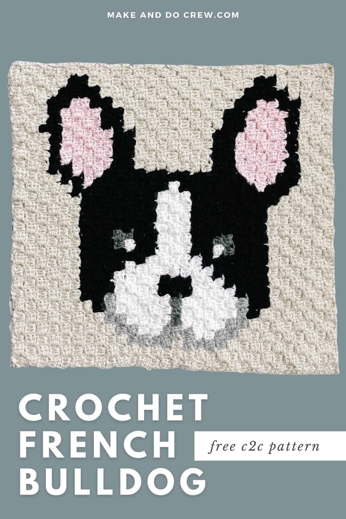 This image shows a corner to corner crochet square of a french bulldog or boston terrier face.