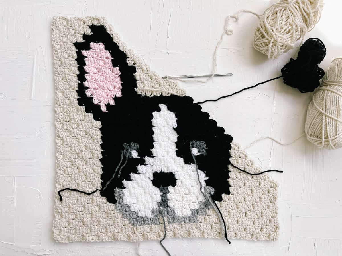 Flat lay shot of an in-progress C2C crochet square of a French bulldog with black and white yarn.