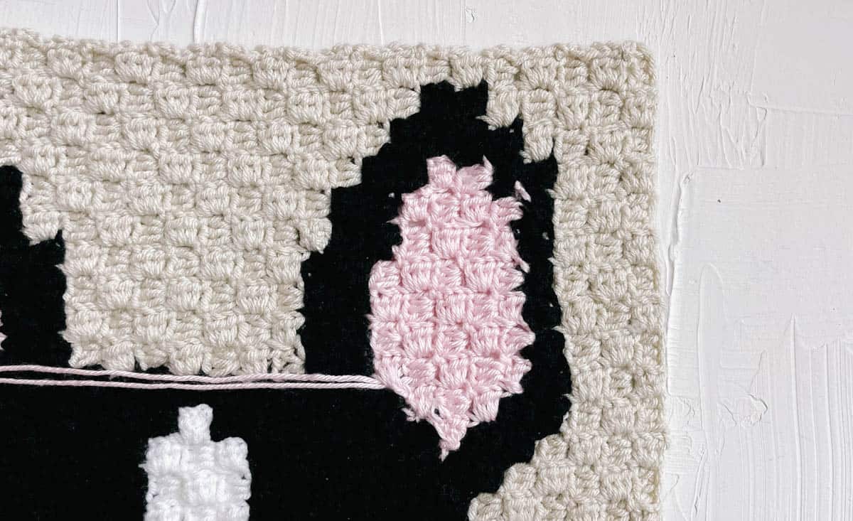 This image shows a french bulldog ear as part of a corner to corner crochet dog blanket.