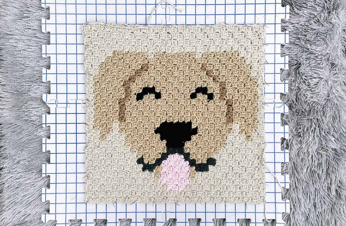 This image shows a c2c crochet goldendoodle square on a blocking board.