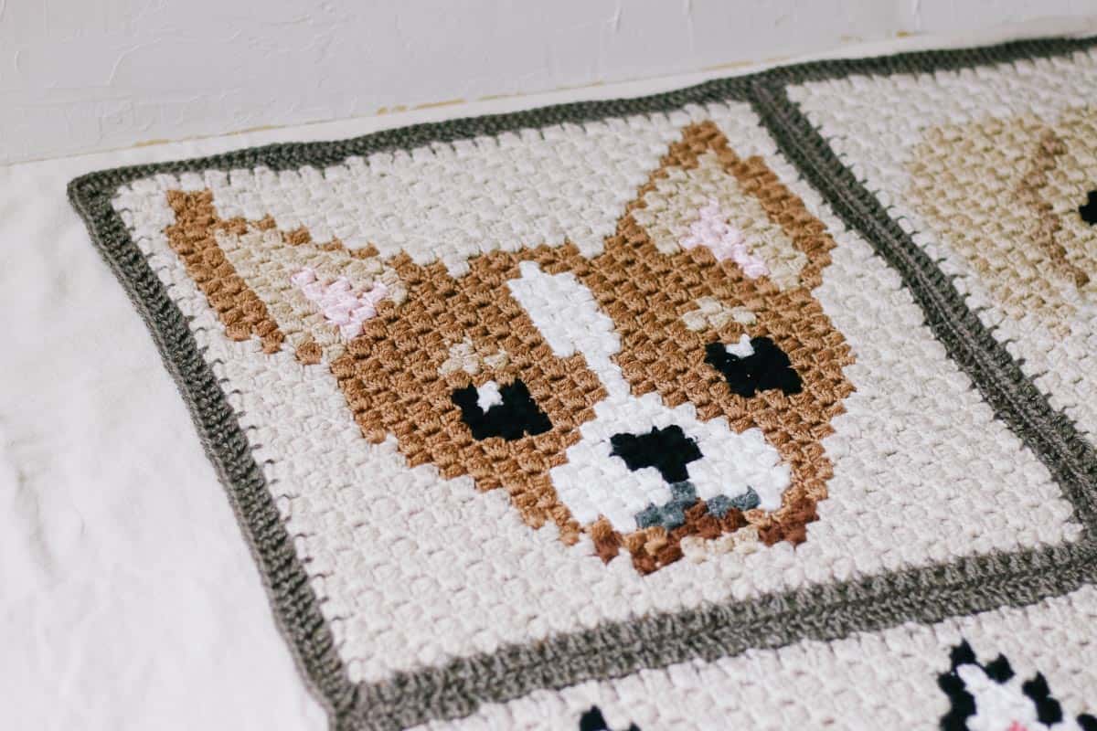 This image shows a corner to corner crochet square featuring a tan and white chihuahua.