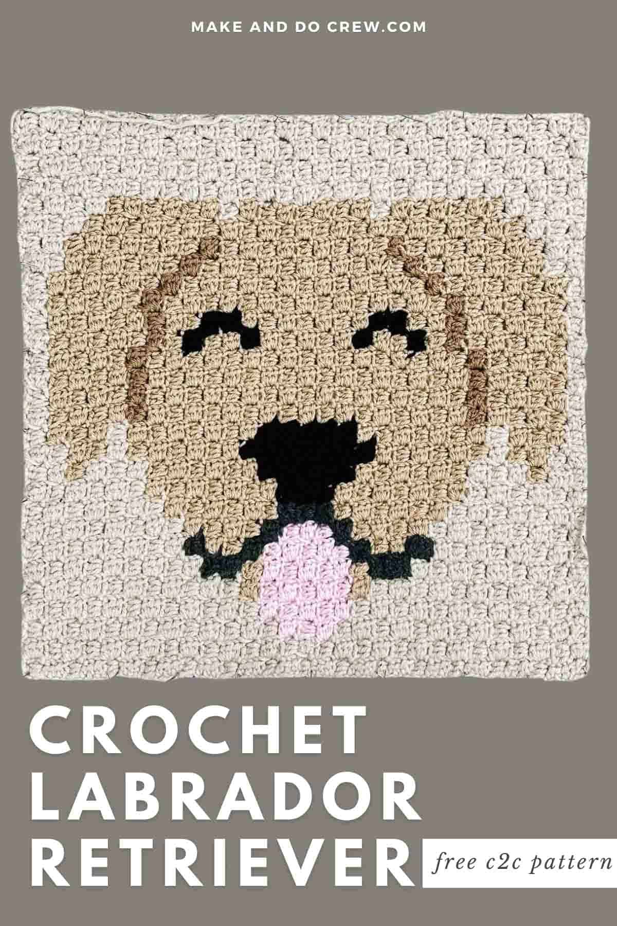 This image shows a free crochet pattern for a labrador retriever dog face blanket.