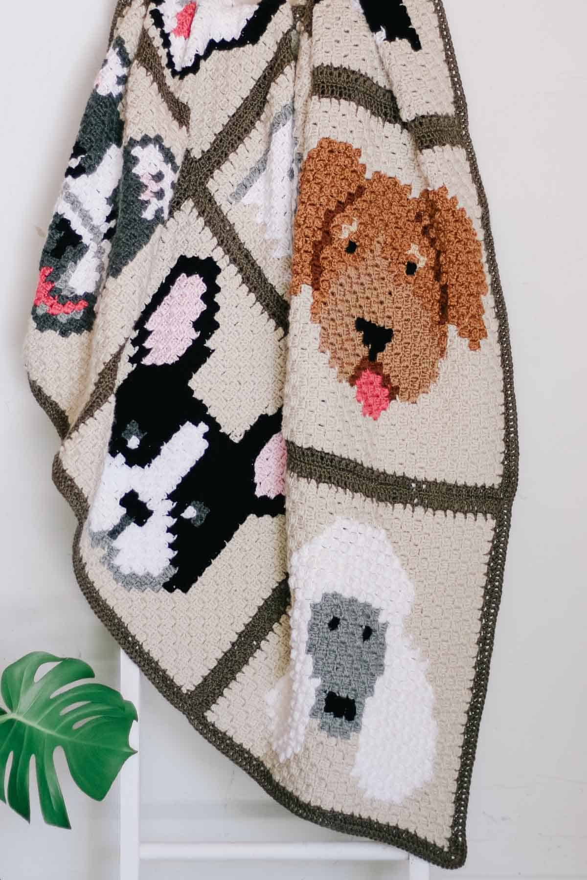 This image shows a free crochet pattern for a corner to corner crochet dog blanket hanging on a ladder.