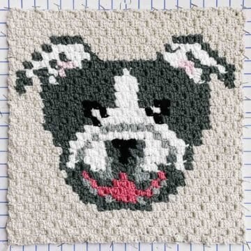 An overhead view of a corner to corner crochet bulldog (or pitbull) with a happy smiling mouth and floppy, pointy ears.
