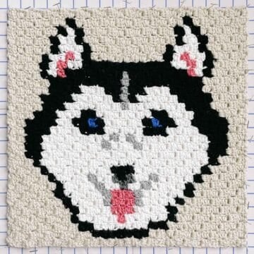 An overhead view of a C2C crochet husky blanket square made with shades of black and white Basic Stitch yarn.