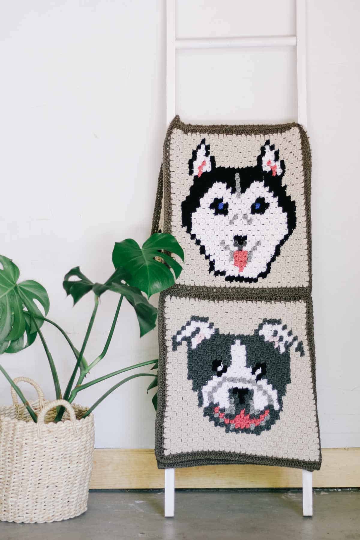 This image shows a dog-themed crochet blanket featuring a husky and bulldog. The blanket is folder onto a blanket ladder and is in front of a white wall.