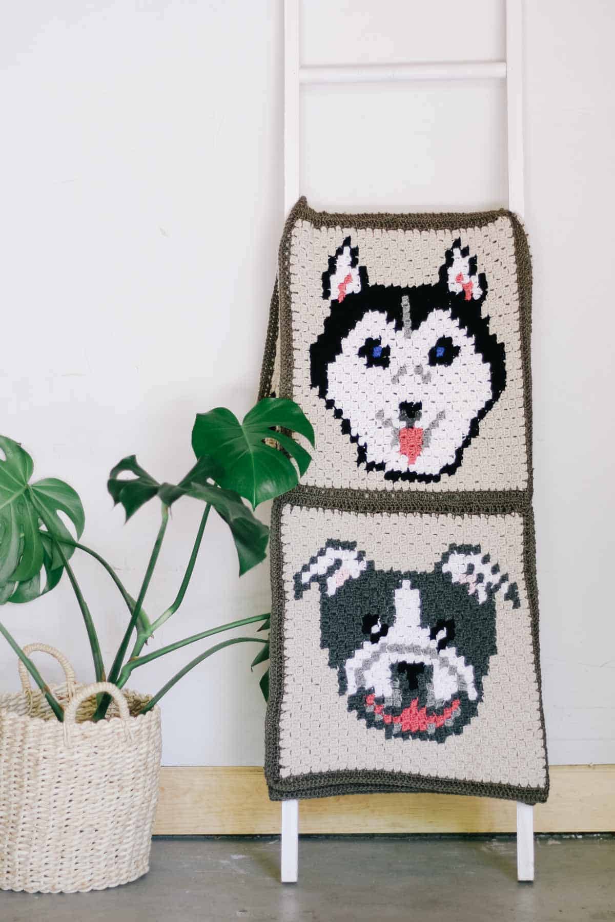 WoolPups Husky Crochet in WoolBox Imagine Classic DK, FREE Pattern  Download