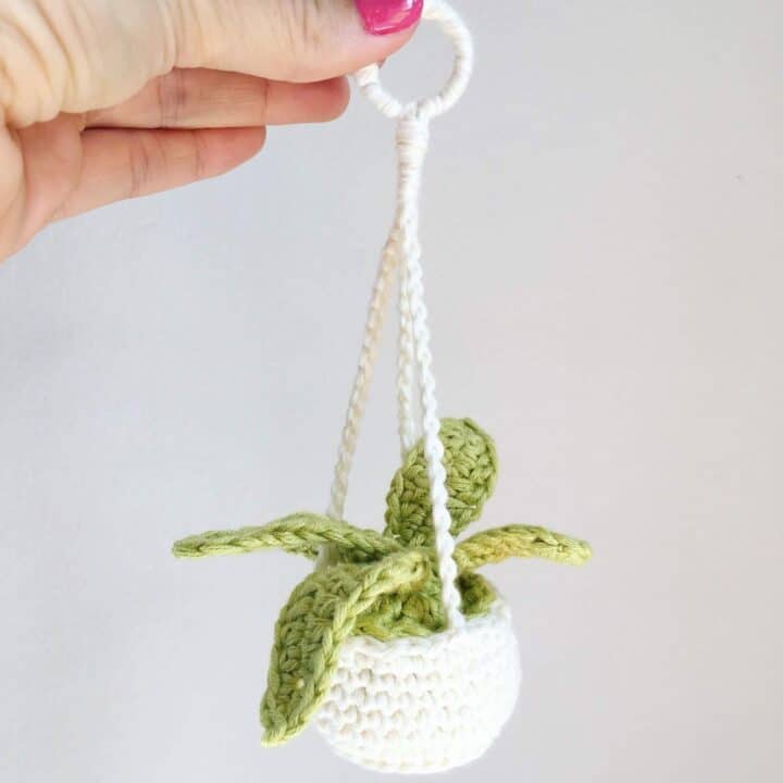 Car Handmade Crochet Plant Pendant Hanging Basket Charm Rear View
