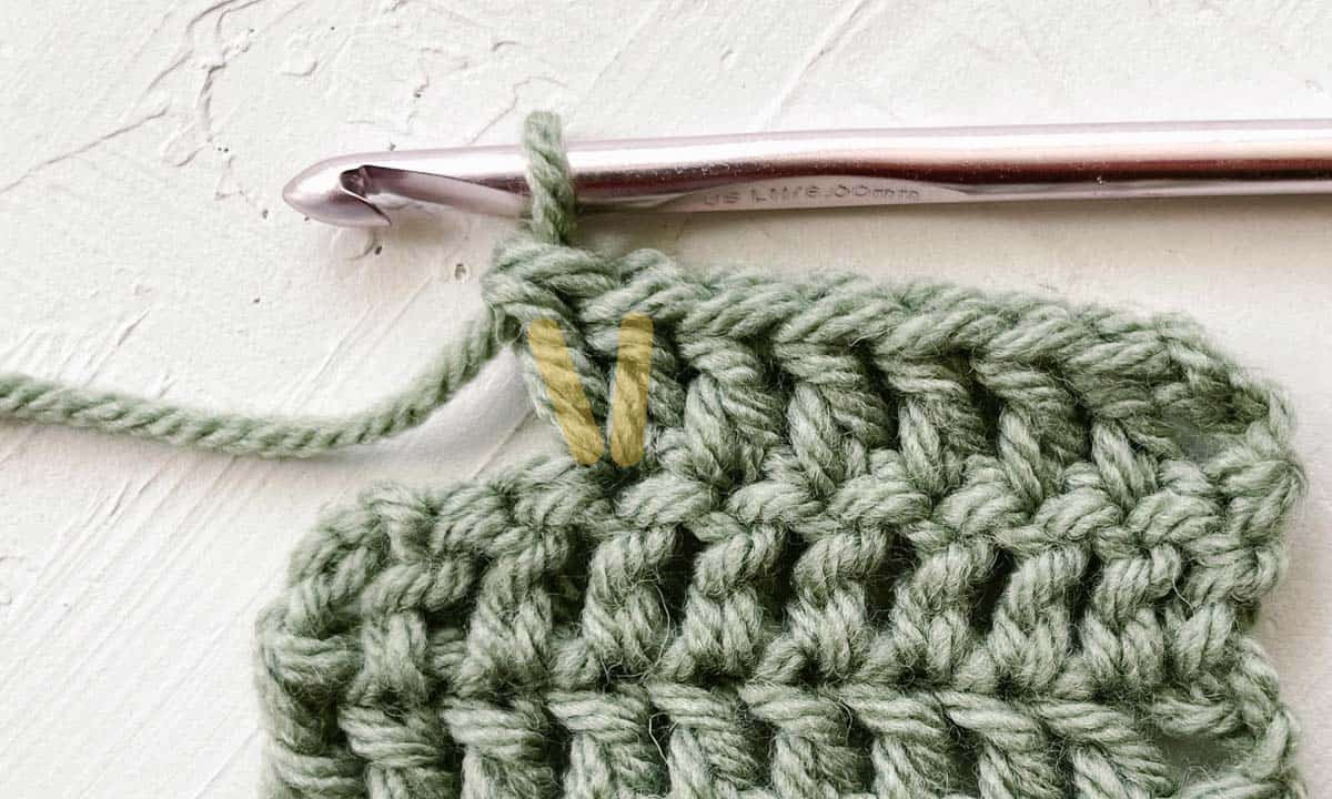 A double crochet increase with two DCs in one stitch.