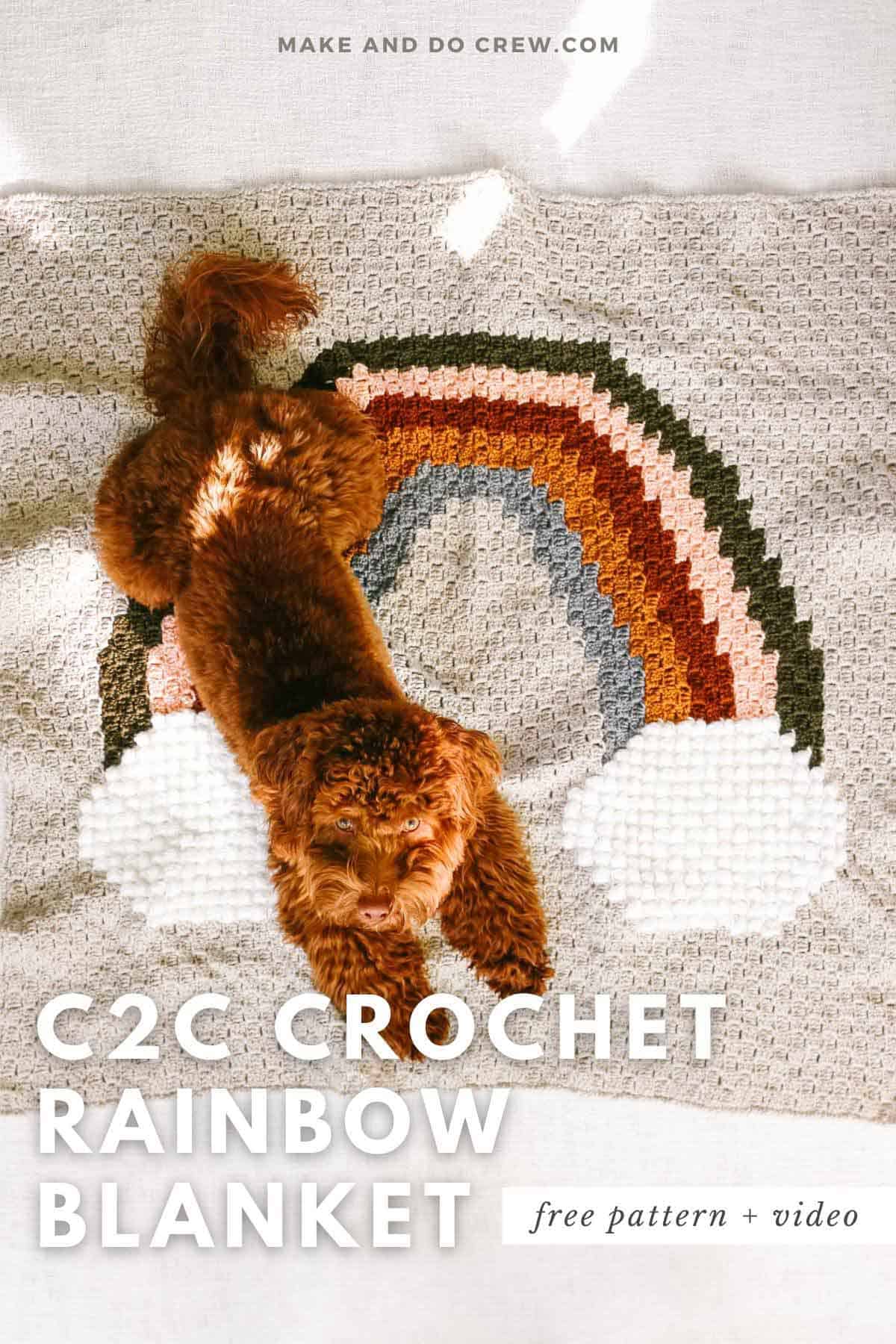 Goldendoodle laying on top of a c2c crochet rainbow baby blanket.