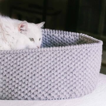 White kitty hiding inside a modern crocheted cat bed.
